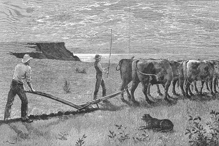First farming. Farm worker scythe. farming in australia.